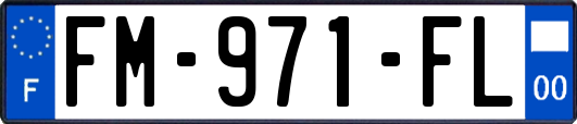 FM-971-FL