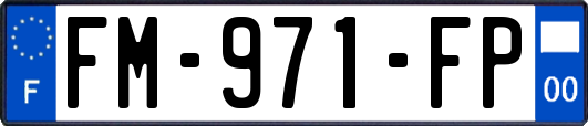 FM-971-FP