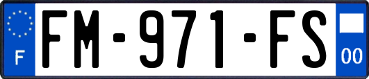 FM-971-FS