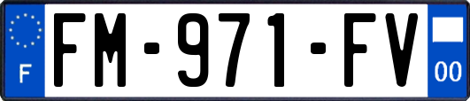 FM-971-FV