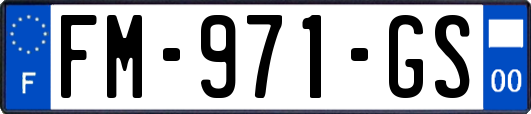 FM-971-GS