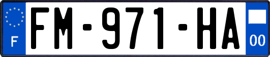 FM-971-HA