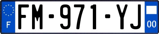 FM-971-YJ