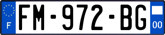 FM-972-BG