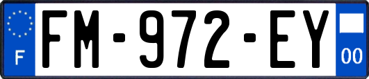 FM-972-EY