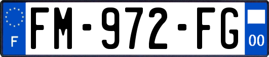 FM-972-FG