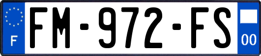 FM-972-FS