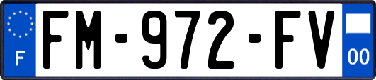 FM-972-FV
