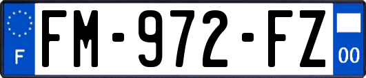 FM-972-FZ
