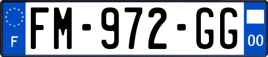 FM-972-GG