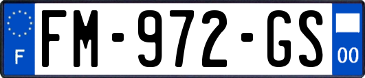 FM-972-GS