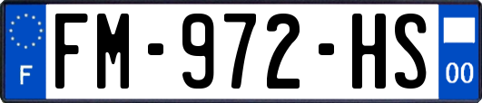 FM-972-HS