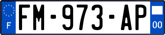 FM-973-AP