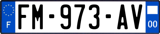 FM-973-AV