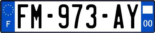 FM-973-AY