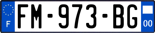 FM-973-BG