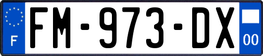 FM-973-DX