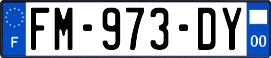 FM-973-DY