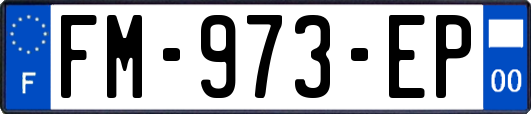 FM-973-EP