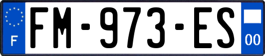 FM-973-ES