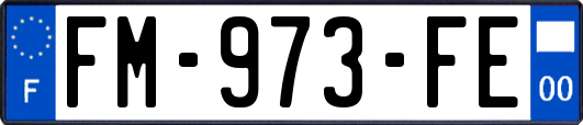 FM-973-FE