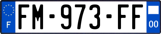 FM-973-FF