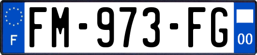 FM-973-FG