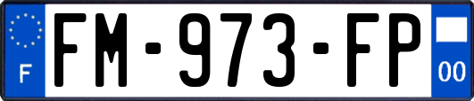 FM-973-FP