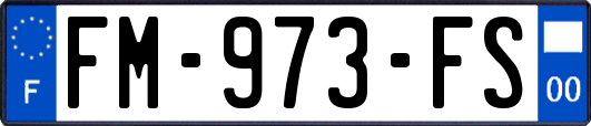 FM-973-FS