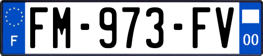 FM-973-FV