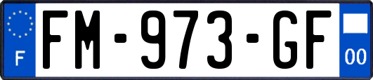 FM-973-GF