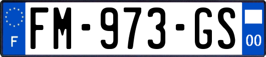 FM-973-GS