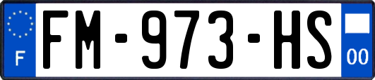 FM-973-HS