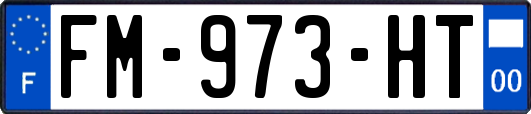 FM-973-HT