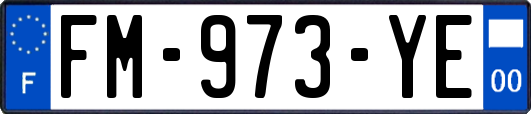FM-973-YE
