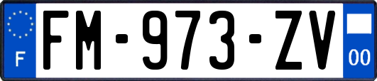 FM-973-ZV