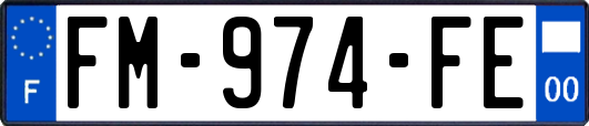 FM-974-FE