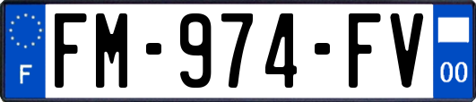 FM-974-FV