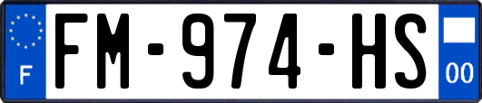 FM-974-HS