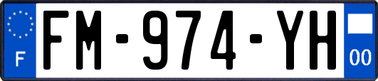 FM-974-YH
