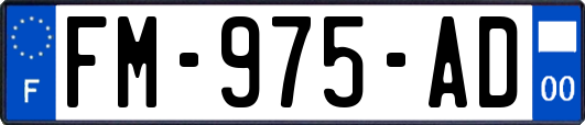 FM-975-AD