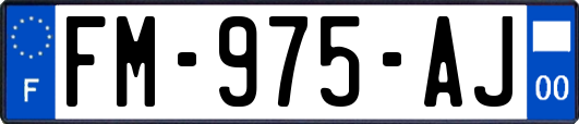 FM-975-AJ