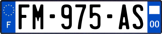 FM-975-AS