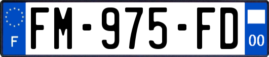 FM-975-FD
