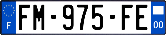 FM-975-FE