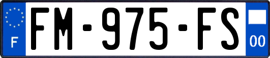 FM-975-FS