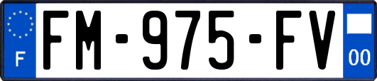 FM-975-FV