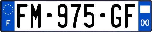 FM-975-GF