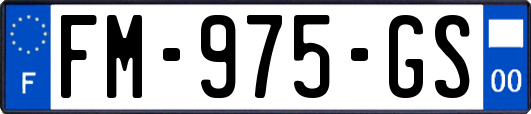 FM-975-GS