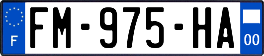 FM-975-HA